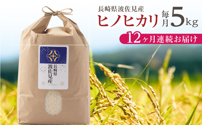 【令和6年度米】【全12回定期便】ヒノヒカリ 白米 5kg×12回 計60kg 波佐見町産【冨永米穀店】 [ZF06]