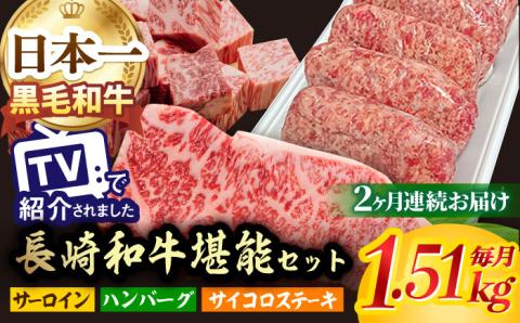 [全2回] サーロイン サイコロステーキ ハンバーグ 総量3kg以上 [NA65] 肉 牛肉 サーロインステーキ 焼肉 おかず 惣菜 定期便