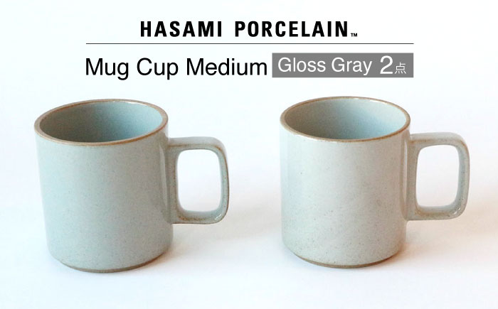 [HASAMI PORCELAIN]マグカップ グロスグレイ 2点セット 食器 皿[東京西海] [DD196]