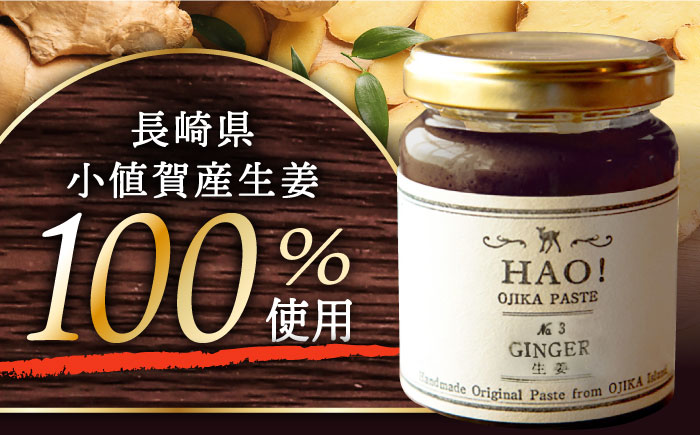 【全2回定期便】 HAO！ジンジャーシロップ 2本 （160g/本)  ジンジャー 生姜 ジンジャーエール シロップ スパイス  常温  [DAA028]
