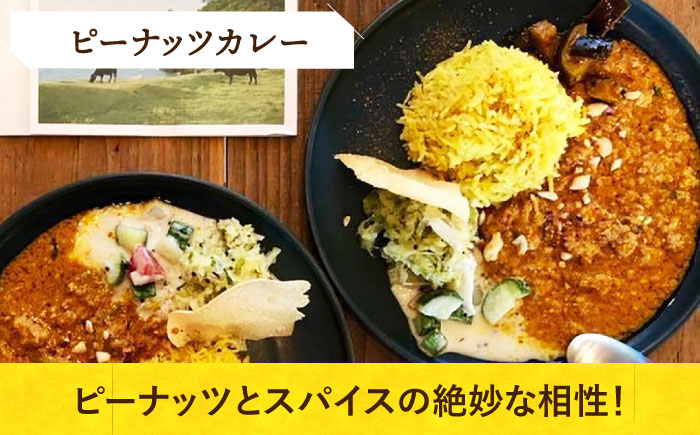 【カレー堪能セット！】小値賀島のピーナッツカレースパイスキット・切干大根30ｇ 各2セット 贈答 【小値賀町】《小値賀町担い手公社》  [DAA060]