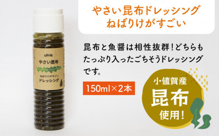 やさい昆布 ドレッシング 2本＆ピーナッツカレー スパイスセット 《しまうま商会》【小値賀町】  ミールキット スパイスカレー 昆布 カレー スパイス セット 調味料 落花生  常温  [DAB005]