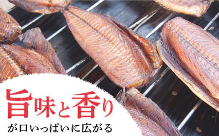 【凝縮された旨味と香り】鰹生ぶし 献上節 10本セット ＜しまうま商会＞   なまり節 なまりぶし 鰹 カツオ 生節 鰹節 かつお節 カツオ節 ダシ 出汁  [DAB008]