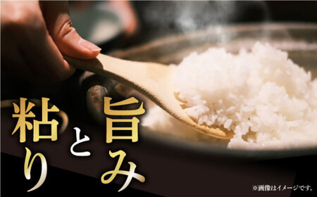 【全12回定期便】【令和6年度産】おぢかんうまか米（小値賀町産こしひかり 約3kg ・精白米）総計36kg   コシヒカリ こしひかり 米 お米 白米 ご飯 精米 お弁当  常温  [DAB013]