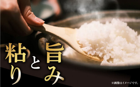 【全12回定期便】【令和6年度産】おぢかんうまか米（小値賀町産こしひかり 約5kg ・精白米）総計60kg   コシヒカリ こしひかり 米 お米 白米 ご飯 精米 お弁当  常温  [DAB017]