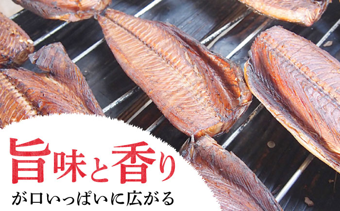 【凝縮された旨味と香り】鰹生ぶし 献上節 5本セット ＜しまうま商会＞  なまり節 なまりぶし 鰹 カツオ 生節 鰹節 かつお節 カツオ節 ダシ 出汁  [DAB079]