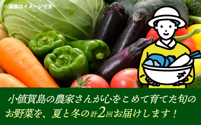 【先行受付】【夏季初回発送】小値賀島で育った新鮮野菜おまかせセット　夏季1回・冬季1回お届け  [DAB080]