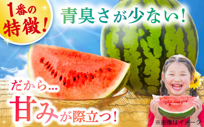 【先行予約】【小値賀町産】 大玉スイカ 2玉（約6～8kg）スイカ 長崎県産 フルーツ 果物  [DAB082]