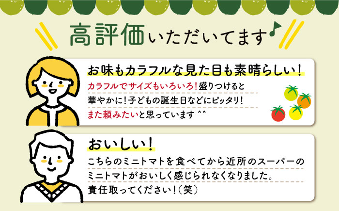 【年内配送】【先行予約】おまかせMIX カラフル ミニトマト 約1.2kg トマト ミニ トマト プチトマト とまと ミニ とまと カラフルミニトマト ミニトマト【小値賀町】《りんたろうファーム》  [DAE002]