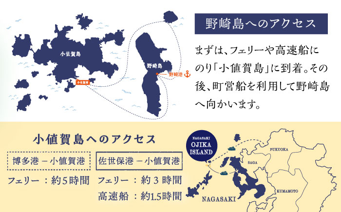 野崎島 王位石トレッキングガイドツアー 2名様 ＜小値賀町＞   [DAJ020]