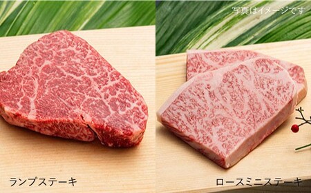 【全12回 約22kg】A4,A5等級 長崎和牛プレミアム月1回計12回定期便 《小値賀町》 【有限会社肉の相川】 1200000 1200000円 120万円  [DAR012]