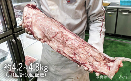 【2セット限定 月1回全10回定期便】1本まるごと！長崎和牛A5ヒレブロック 4.2～4.8kg  《小値賀町》 【有限会社肉の相川】 5000000 5000000円 500万円  [DAR017]