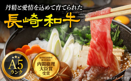 【全6回定期便】【 A5ランク 】 長崎和牛 赤身 定期便 【有限会社肉の相川】 肉 肉定期便  [DAR034]