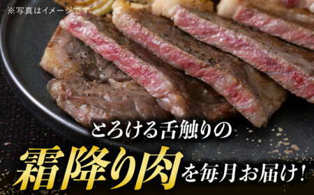 【全3回定期便】【 A5ランク 】 長崎和牛 霜降り定期便 《小値賀町》【有限会社肉の相川】 ロース サーロイン 切り落とし 国産 牛肉 長崎和牛 ステーキ すき焼き A5 和牛 黒毛和牛 あいかわ  [DAR036]