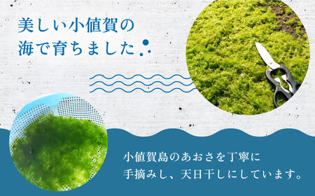 【3回定期便】小値賀でとれたあおさ（12g入）×2袋 ＜factory333＞  常温  [DAS014]