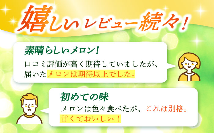 【先行予約】【2026年6月中旬-7月初旬順次発送】タカミメロン 約5kg（3～5玉） メロン メロン メロン [DAT001]