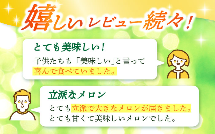 【2026年 先行予約】 アールスメロン 約4kg（2玉）メロン 8月発送予定 [DAT002]