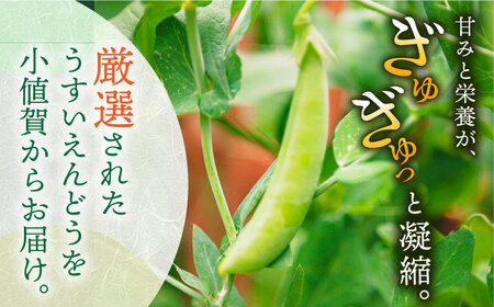 【先行予約】【2025年3月下旬～4月中旬発送分】うすいえんどう 約2kg ≪小値賀町≫【ながさき西海農協小値賀地区園芸部会】 ? えんどう エンドウ 実えんどう 野菜 常温 [DAT006]
