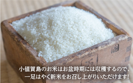 【令和2年度新米】赤土で育った小値賀町産コシヒカリ 5kg＜伊藤紀明＞  常温  [DBC001]
