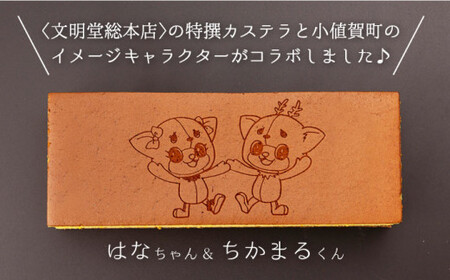 【全6回定期便】 おぢか焼印 特撰 カステラ 580g 1箱 「ちかまるくん」 《文明堂総本店》 [DBF007]