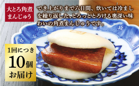 【全3回定期便】 長崎 大とろ角煮まんじゅう 10個 ＜岩崎本舗＞  角煮まんじゅう 角煮まんじゅう [DBG043]