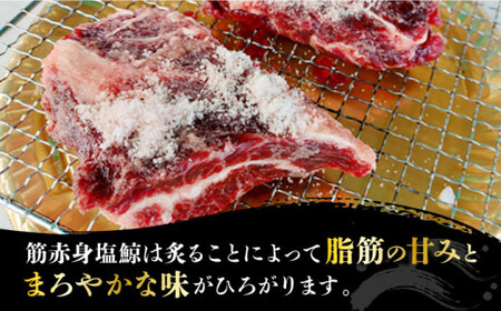 【新感覚！炙りでいただく鯨】 新！炙り用 塩赤身鯨セット 500g（塩赤身鯨300g/炙り用塩赤身鯨 200g） 《小値賀町》【 中島（鯨）商店】  鯨 クジラ肉 鯨肉 海鮮 おつまみ 鮮魚 刺身 赤身 贅沢  [DBM001]