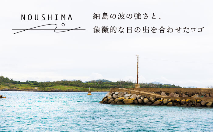 【これであなたも島の一員！】納島デザインTシャツ＜Sサイズ＞納島 Tシャツ 半袖 服 デザインTシャツ 男女兼用 シンプル 長崎 五島列島 小値賀   [DBO006]