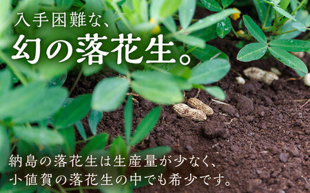 【先行予約】【数量限定】納島落花生 2袋 ＜小値賀町＞ 落花生 らっかせい ピーナッツ 2袋 長崎 五島列島 小値賀  [DBP001]