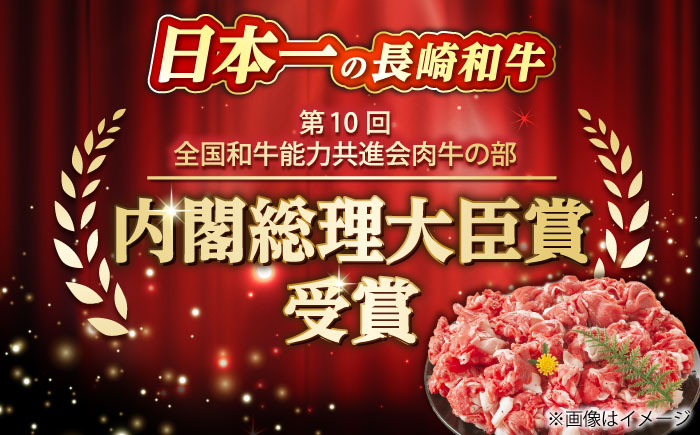 【全2回定期便】【訳あり】【A4～A5】長崎和牛 切り落とし　1.5kg(500g×3p）【株式会社 MEAT PLUS】  [DBS061]