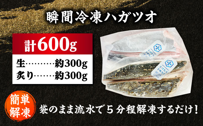 【とけたらとれたて】 ハガツオ（下処理・瞬間冷凍済） 生・炙り食べ比べセット計600g以上（各300g 2パック） 長崎県 小値賀町 [DBY013]