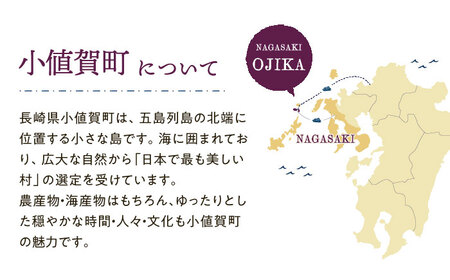 【返礼品なし】長崎県小値賀町 ふるさと応援寄附金（3,000円分）   [DYZ002]