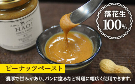 落花生と生姜の 加工品 3点 セット （ ピーナッツ カレー / ピーナッツペースト / ジンジャーシロップ ） ＜小値賀町担い手公社＞  ピーナッツバター ジャム スパイスカレー スパイス 時短 簡単 ジンジャー 生姜 常温  [DAA005]