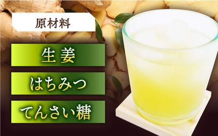 【全6回定期便】HAO！ジンジャーシロップ 2本 （160g/本)  ジンジャー 生姜 ジンジャーエール シロップ スパイス  常温  [DAA017]