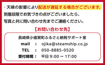 【お刺身に使えるほどの大粒！】海士が素潜りで獲った 大粒サザエ 2kg（8～12個） 《小値賀町》【小値賀町担い手公社】  [DAA020]