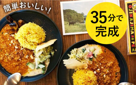 【 スパイスカレー 】 小値賀島のピーナッツカレー スパイスキット 4セット  スパイス カレー 本格 簡単 ミールキット 落花生 常温  [DAA022]