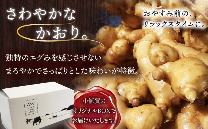 HAO！ジンジャーシロップ 10本 （160g/本) ジンジャー 生姜 ジンジャーエール シロップ スパイス 常温  [DAA049]