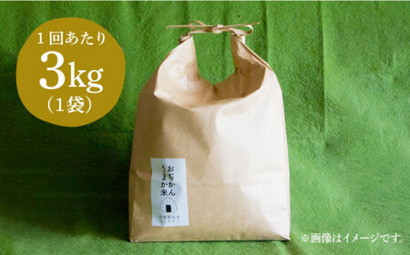 【全12回定期便】【令和6年度産】おぢかんうまか米（小値賀町産こしひかり 約3kg ・精白米）総計36kg   コシヒカリ こしひかり 米 お米 白米 ご飯 精米 お弁当  常温  [DAB013]