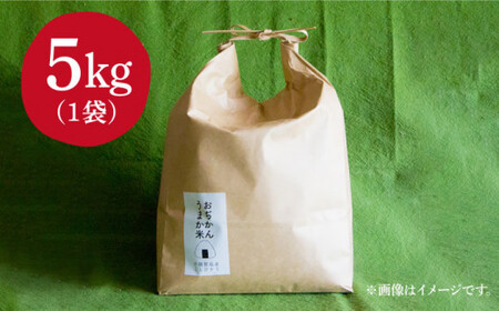 【令和7年度産新米】【約5kg】おぢかんうまか米（小値賀町産こしひかり 5kg ・精白米）  コシヒカリ こしひかり 米 お米 白米 ご飯 精米 お弁当  常温  [DAB014]
