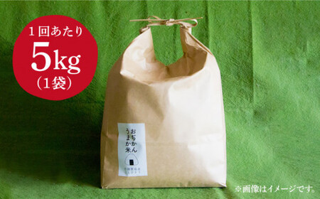 【全12回定期便】【令和6年度産】おぢかんうまか米（小値賀町産こしひかり 約5kg ・精白米）総計60kg   コシヒカリ こしひかり 米 お米 白米 ご飯 精米 お弁当  常温  [DAB017]