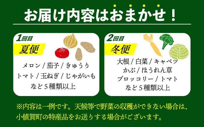 【先行受付】【夏季初回発送】小値賀島で育った新鮮野菜おまかせセット　夏季1回・冬季1回お届け  [DAB080]