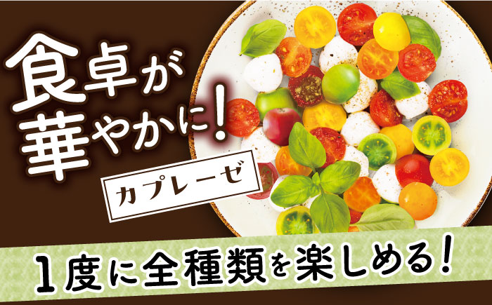 【年内配送】【先行予約】カラフル ミニトマト 4色5種MIX 約1.2kg 【小値賀町】《りんたろうふぁ～む》 [DAE001]