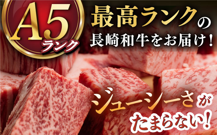 【 A5ランク 】 長崎和牛 サイコロ ステーキ 130g×2パック ハンバーグ150g×3個 《小値賀町》【有限会社肉の相川】  ハンバーグ サイコロステーキ 和牛 牛肉 黒毛和牛 贅沢 セット あいかわ  [DAR002]