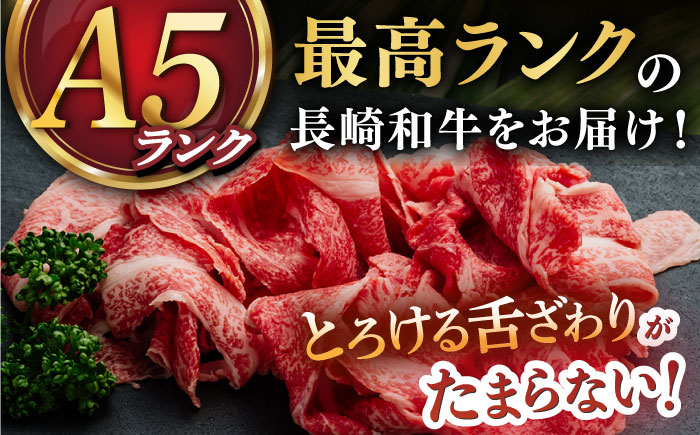 【年内配送】【A5】 長崎和牛 切り落とし 400g 【肉の相川】 切り落とし [DAR006]