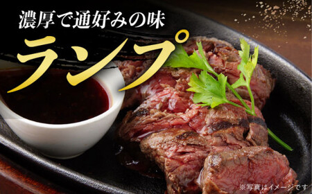 【全4回定期便】 【 A5ランク 】 長崎和牛 ステーキ定期便（ ヒレ / ランプ / ロース ） 計3.36kg 《小値賀町》【有限会社肉の相川】 肉 牛肉 和牛 黒毛和牛 ステーキ ヒレステーキ BBQ 贅沢 お祝い ご褒美 あいかわ  [DAR007]