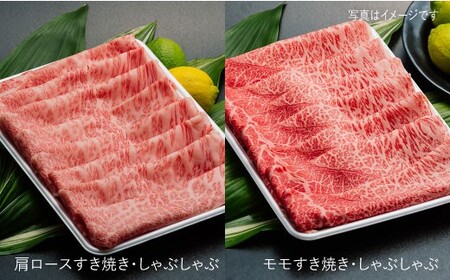 【数量限定！月1回全6回 約9.6kg】A4,A5等級 長崎和牛プレミアム6回定期便  《小値賀町》 【有限会社肉の相川】 690000 690000円 69万円  [DAR011]