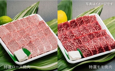 【全12回 約22kg】A4,A5等級 長崎和牛プレミアム月1回計12回定期便 《小値賀町》 【有限会社肉の相川】 1200000 1200000円 120万円  [DAR012]