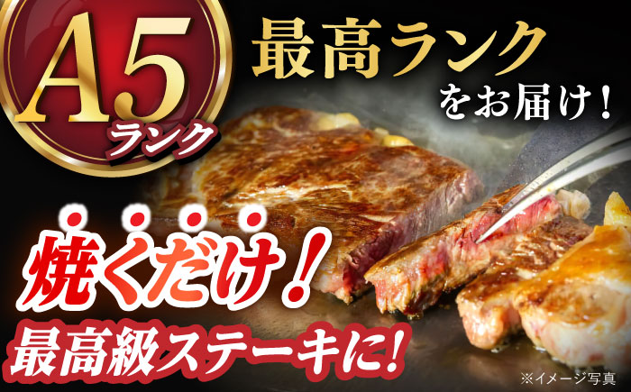【2種食べ比べ】 長崎和牛 A5ランク ミニステーキセット（サーロイン･モモ）約400ｇ 《小値賀町》【有限会社肉の相川】  [DAR047]