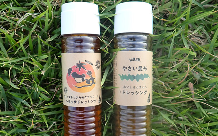 【12回定期便】【コンボ/4本セット】ねばりけとハリッサがすごいドレッシングコンボ / ドレッシング 2種セット 小値賀町 /factory333 [DAS057]