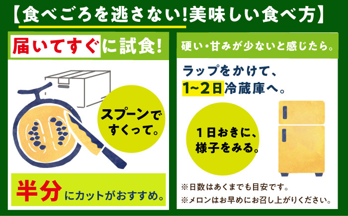 【先行予約】【2026年6月中旬-7月初旬順次発送】タカミメロン 約5kg（3～5玉） メロン メロン メロン [DAT001]
