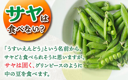 【先行予約】【2025年3月下旬～4月中旬発送分】うすいえんどう 約2kg ≪小値賀町≫【ながさき西海農協小値賀地区園芸部会】 ? えんどう エンドウ 実えんどう 野菜 常温 [DAT006]